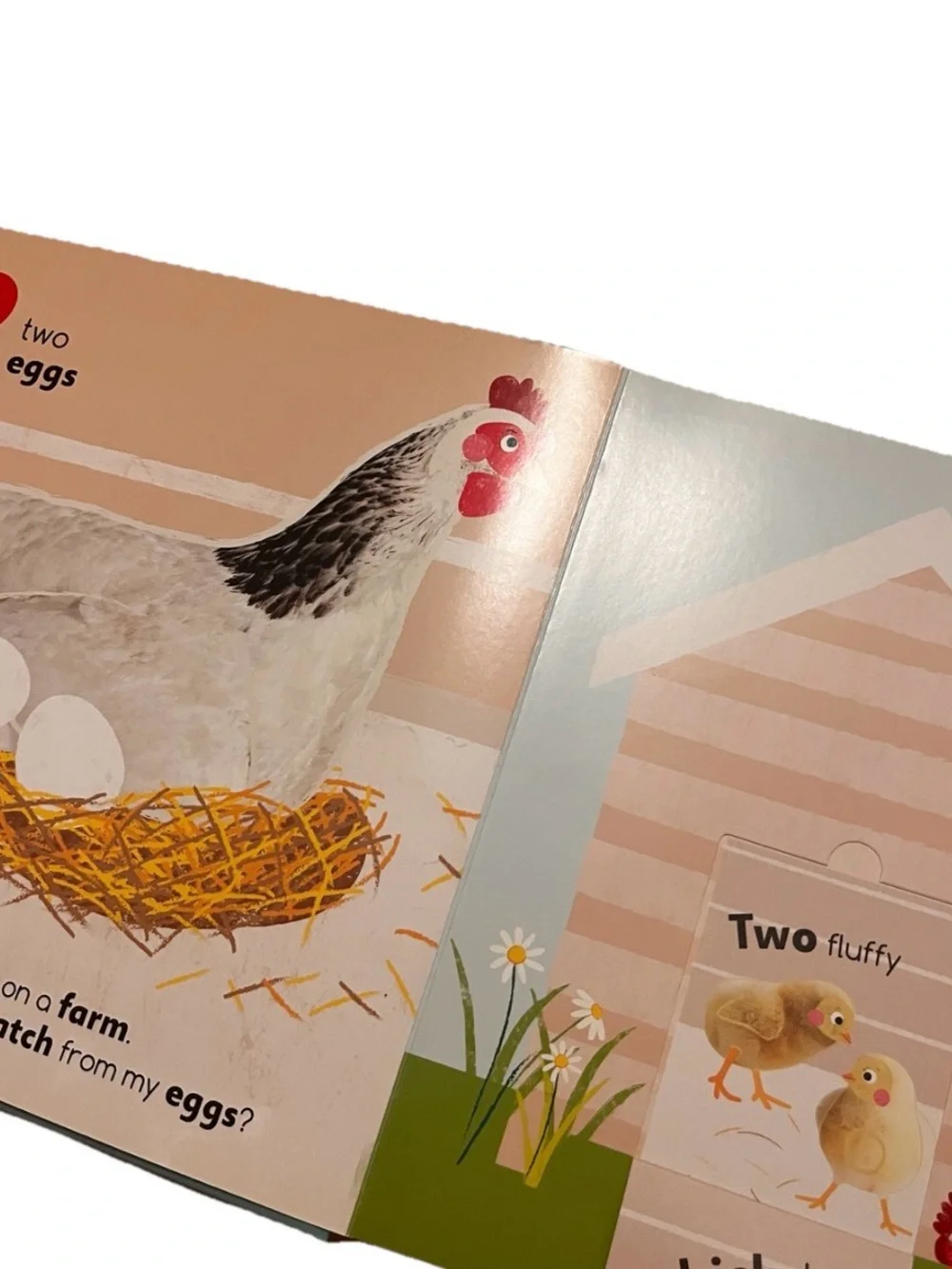 Flip, Flap, Find! Counting 1, 2, 3 Board Book